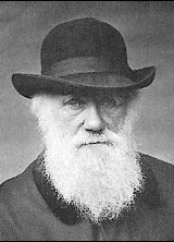 Datei:Charles Darwin.jpg