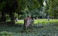 Der Olšany-Friedhof in Prag