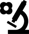 Vorschaubild der Version vom 17:42, 6. Mai 2025
