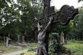 Friedhof Olsany 02.jpg