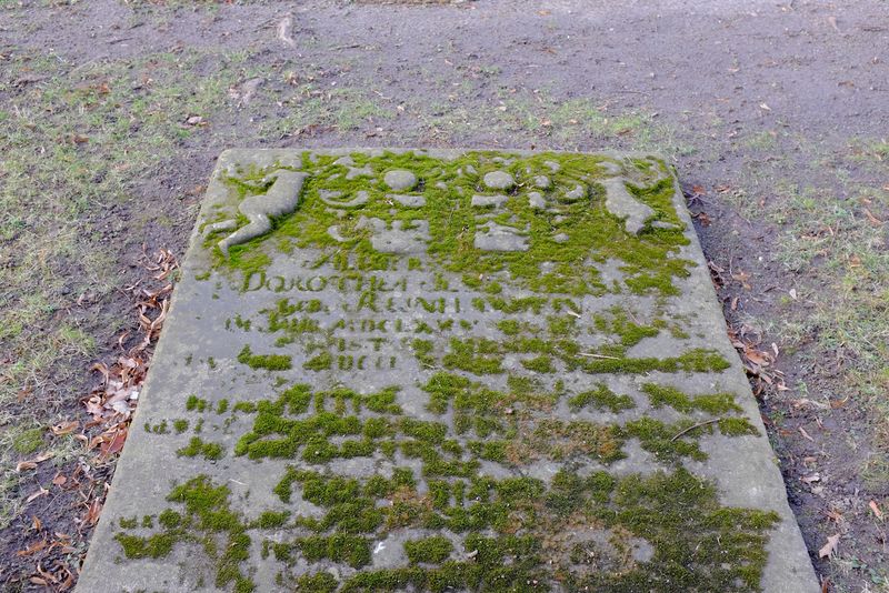 Datei:Moosbewachsene Grabsteinplatte.jpg