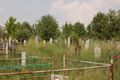 Friedhof Russland 02.jpg