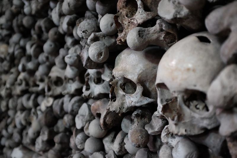 Datei:Totenschädel Beinhaus.jpg