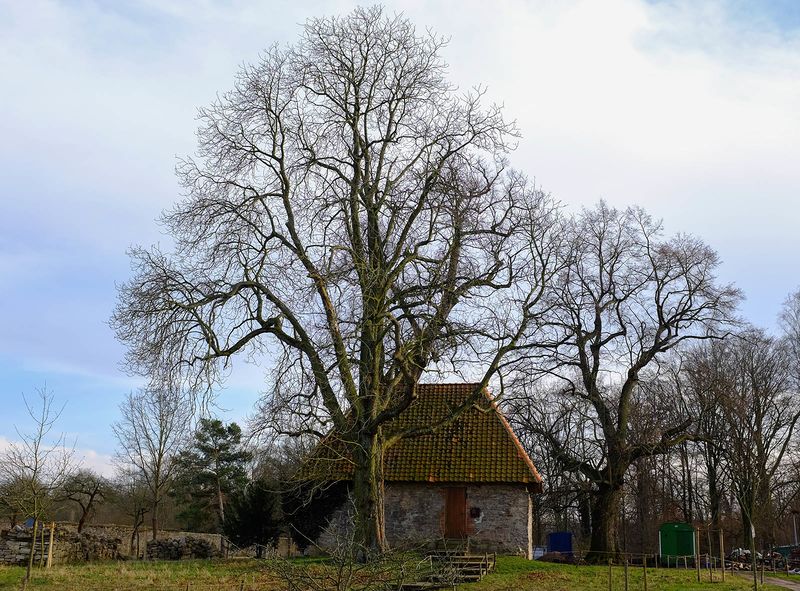 Datei:Siechenkapelle Riddagshausen.jpg