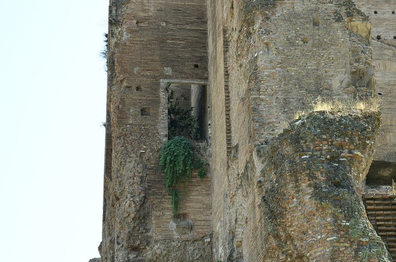 Datei:Santa Maria Antiqua (Ruine).jpg